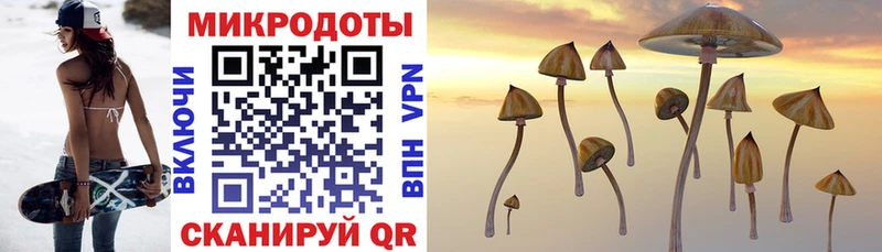 MEGA tor  Карачаевск  Галлюциногенные грибы Psilocybine cubensis 