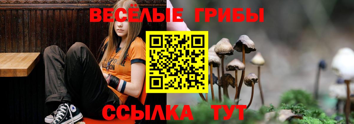 Галлюциногенные грибы Psilocybe  Галлюциногенные грибы Cubensis  Вход с VPN  магазин    Карачаевск 